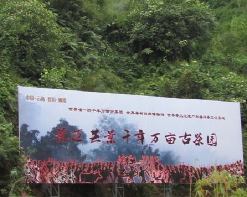 哭泣的古茶山