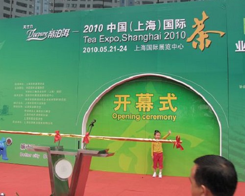 上海茶博会散记