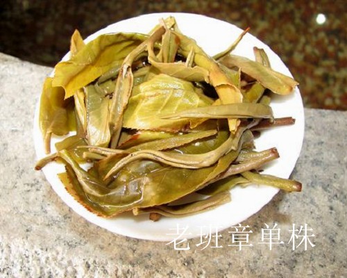 品鉴2009年纯料老班章实录