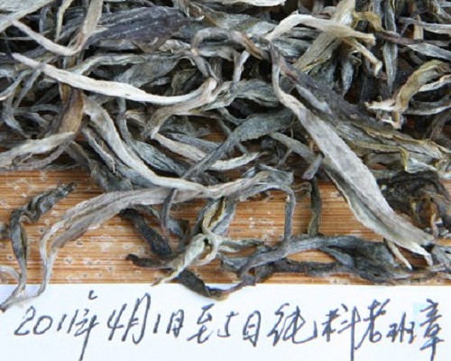 品鉴2011年早春纯料老班章