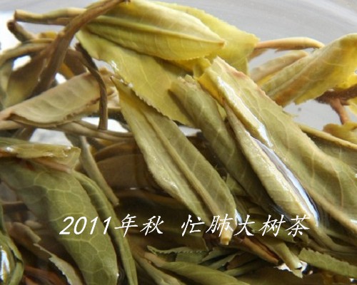 中秋至，忙肺大树谷花茶香浓味醇