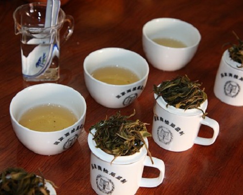 2011年景迈山古树秋茶审评