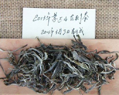 品鉴2013年景迈山早春古树茶