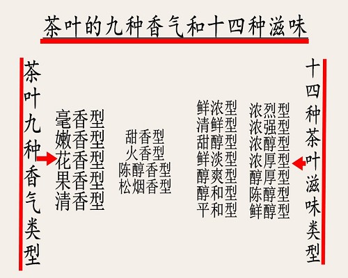 茶叶的9种香气和14种滋味